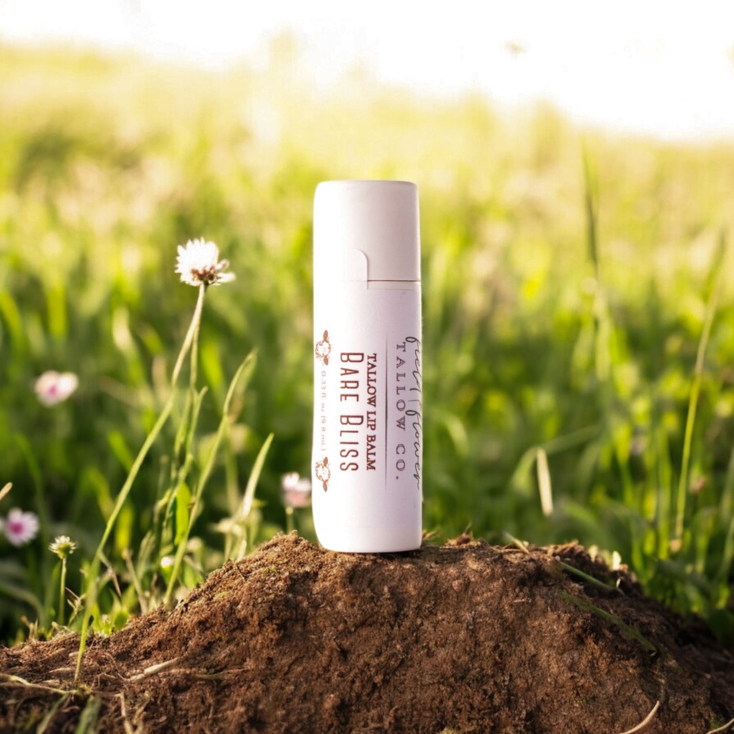 Bare Bliss Tallow Lip Balm Tube Field Flower Tallow Co bare-bliss-tallow-lip-balm-tube-field-flower-tallow-co