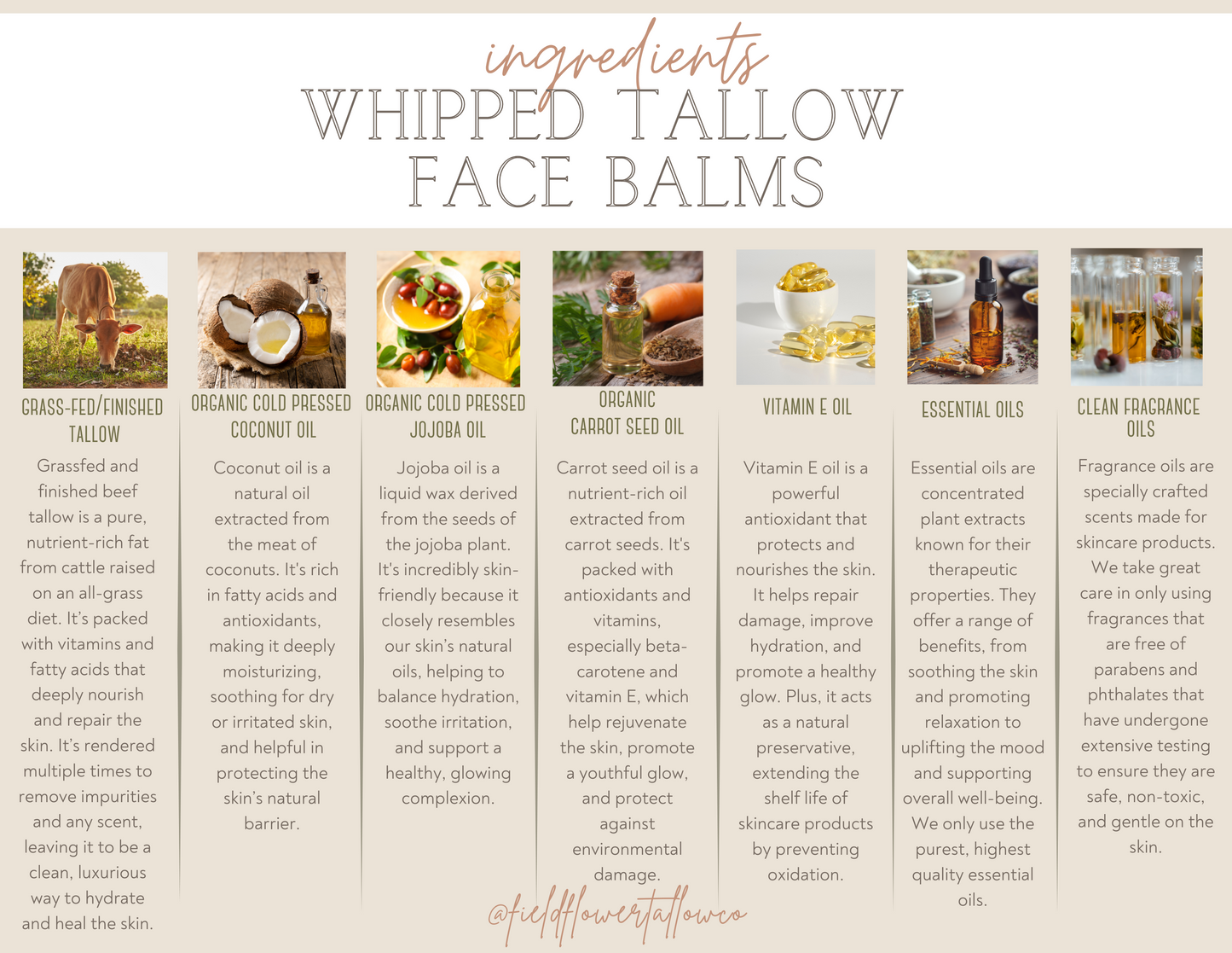 Coastal Sunshine Tallow Body Balm