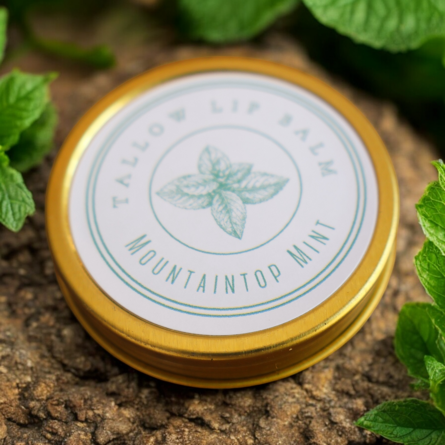 Lip Balm Tins