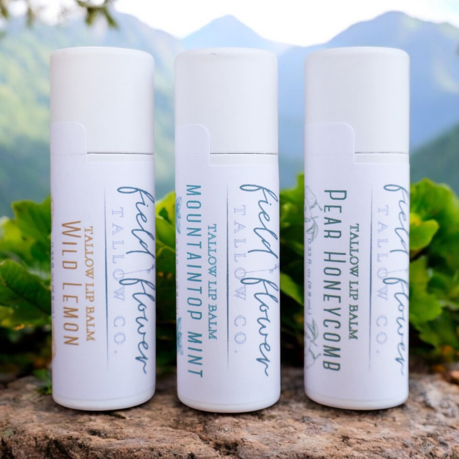 Tallow Lip Balms