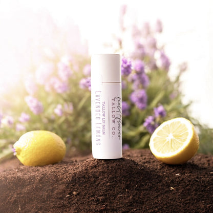 Tallow Lip Balm Lavender Lemons