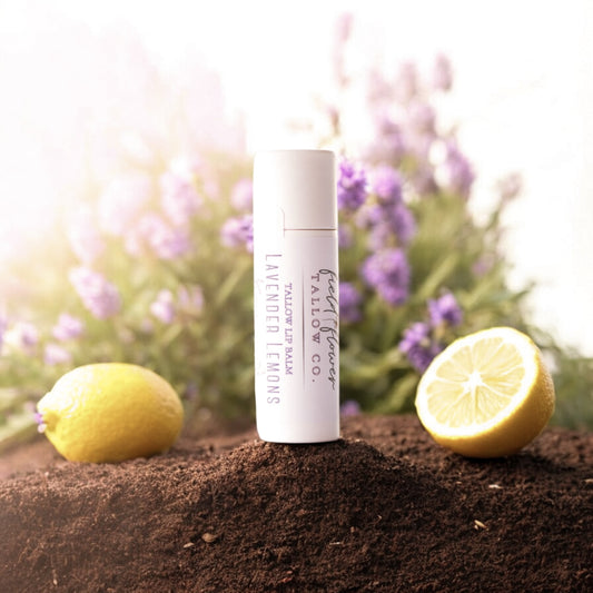 Lavender Lemons Tallow Lip Balm Tube