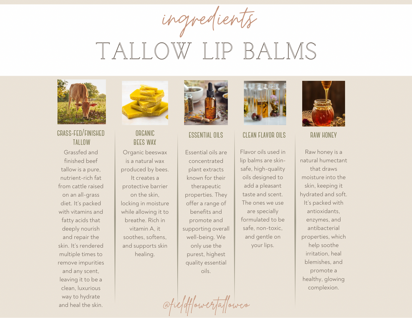 Toasted Coconut Tallow Lip Balm Tube