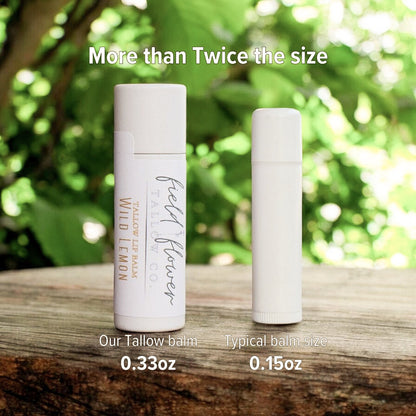 Large Paperboard Tallow Lip Balm Tube
