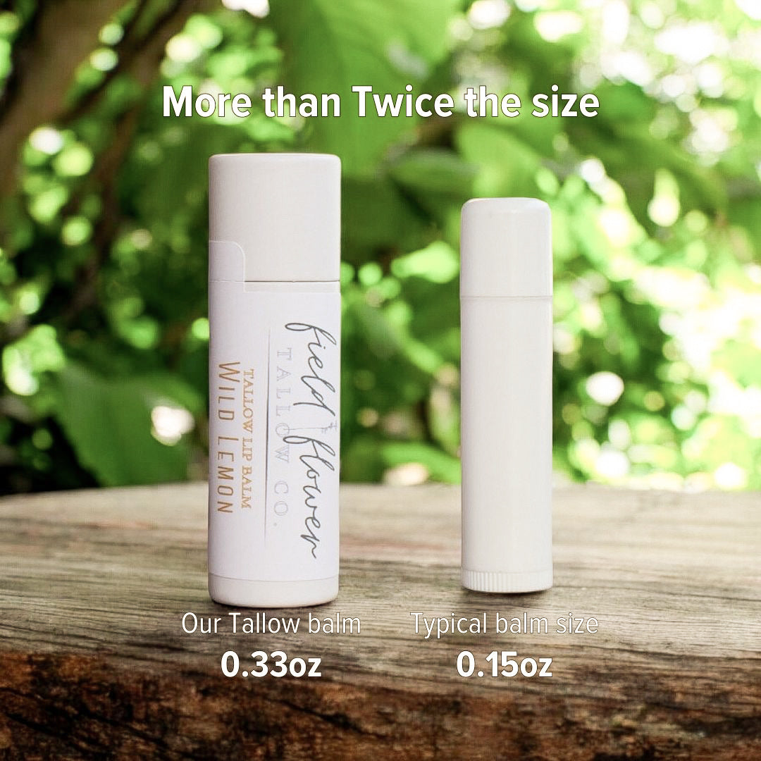 Toasted Coconut Tallow Lip Balm Tube