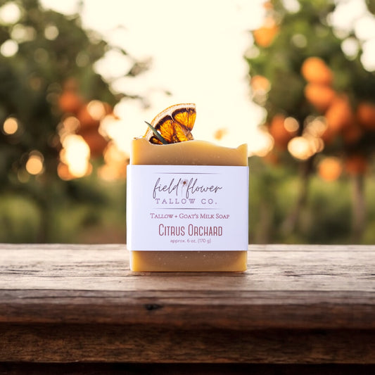 Citrus Orchard Tallow + Goat's Milk Soap