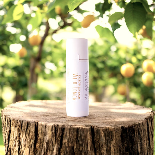 Wild Lemon Tallow Lip Balm Tube