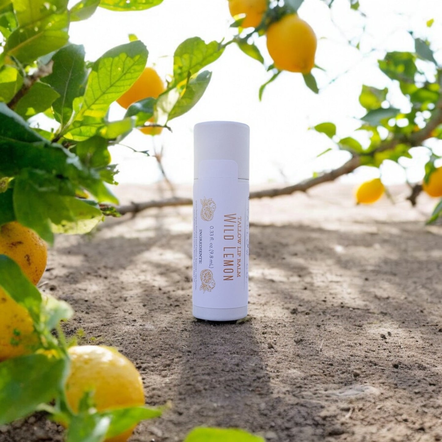 Wild Lemon Tallow Lip Balm