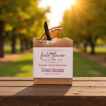 Citrus Orchard Tallow + Goat's Milk Soap