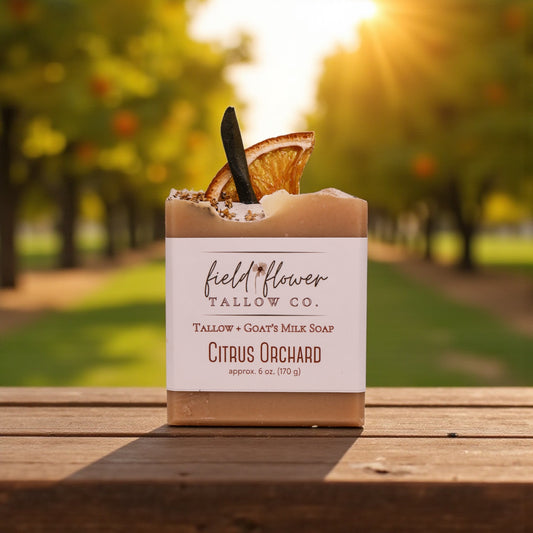 Citrus Orchard Tallow + Goat's Milk Soap