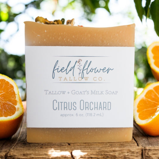 Citrus Orchard Tallow + Goat's Milk Soap