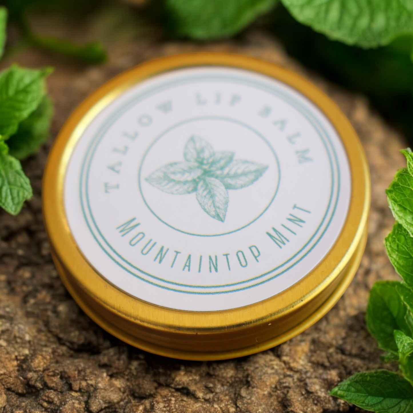 Mountaintop Mint Tallow Lip Balm Tin