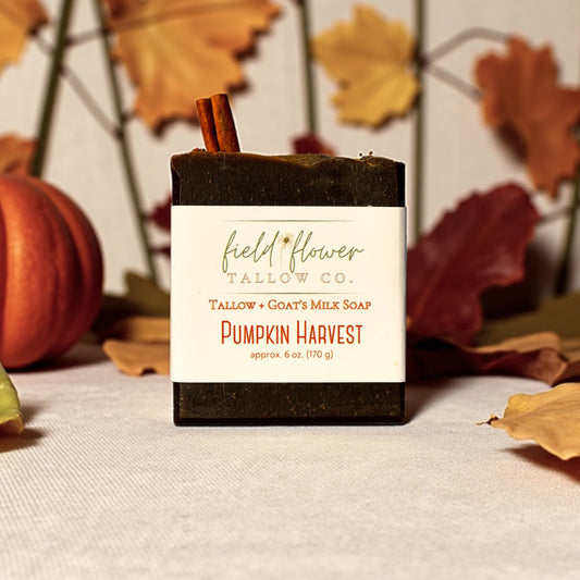 Pumpkin Harvest Tallow + Goat's Milk Soap