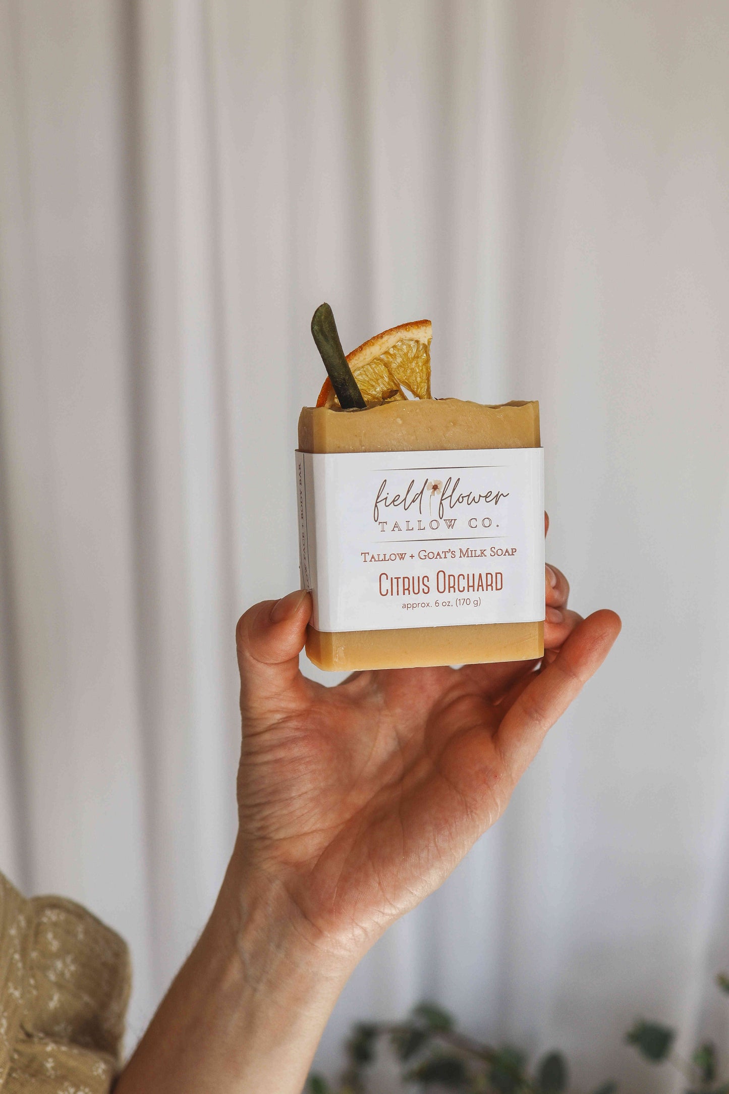 Citrus Orchard Tallow + Goat's Milk Soap