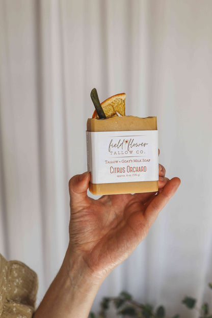 Citrus Orchard Tallow + Goat's Milk Soap