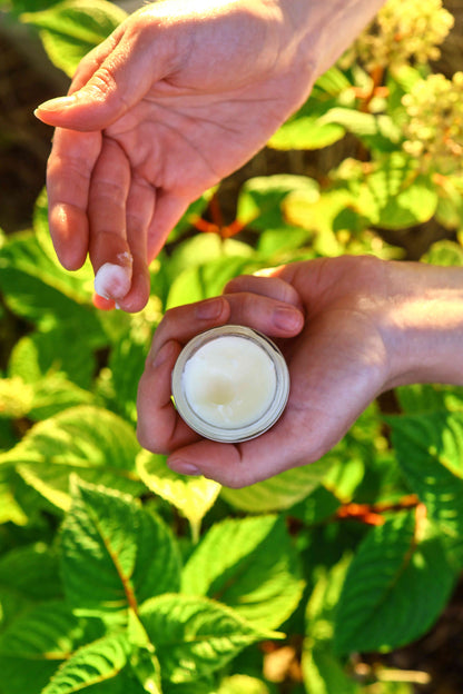 Raspberry Mint Tallow Lip Balm