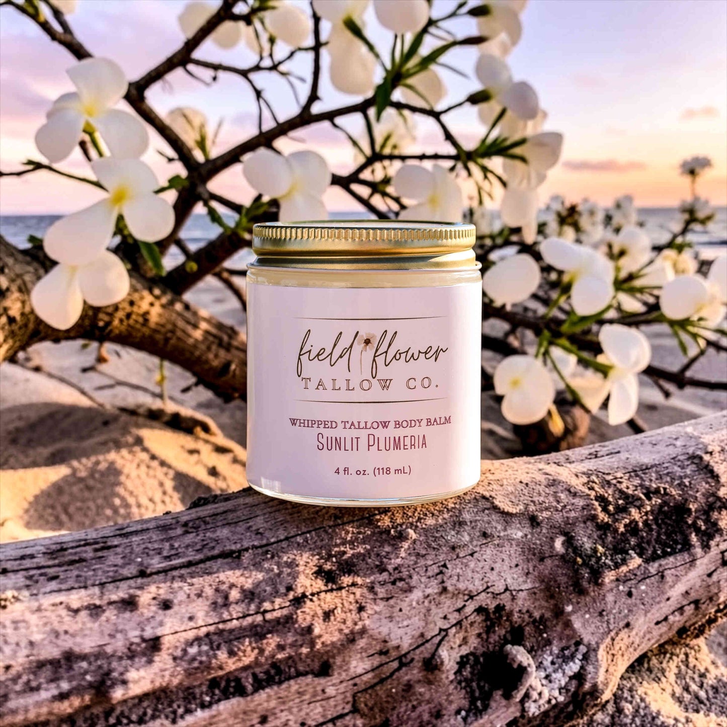 Sunlit Plumeria Tallow Body Balm