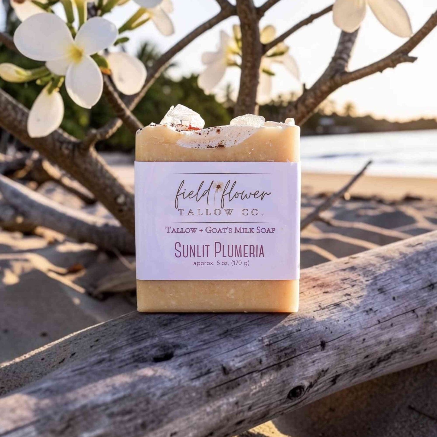 Sunlit Plumeria Tallow + Goat's Milk Soap