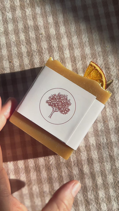Citrus Orchard Tallow + Goat's Milk Soap