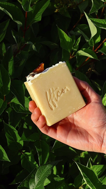 Peach Nectar Tallow + Goat's Milk Soap