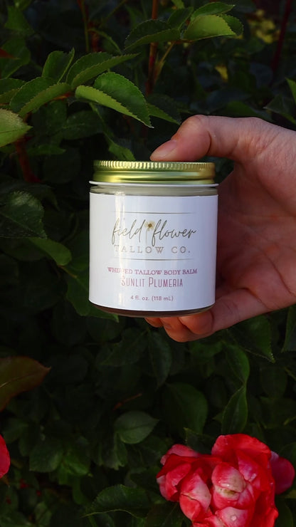 Sunlit Plumeria Tallow Body Balm